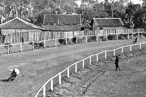 Atv411 Com All The Info They Didnt Include In Your Owners Manual